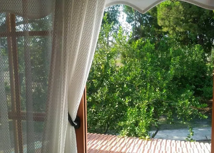 펜션 Beyazit 시데