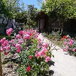 Beyazit Case de vacanță