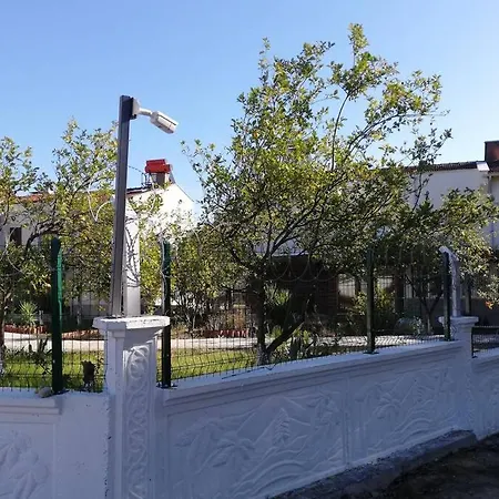 Beyazit 시데