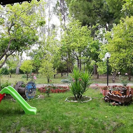 Beyazit 시데
