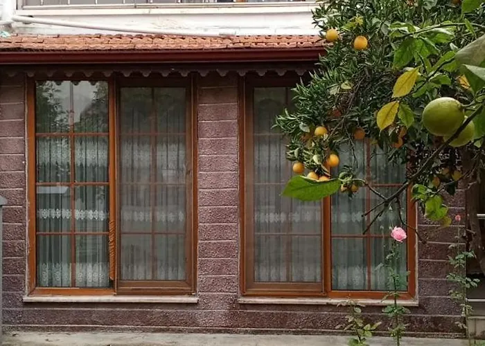 Beyazit * Side
