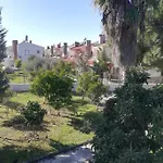 Beyazit *