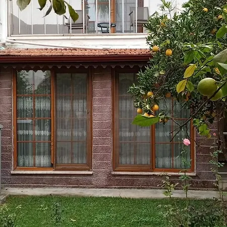 Beyazit * Side